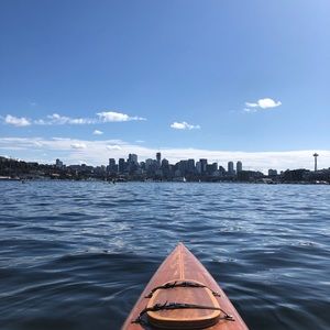 Meet your Posher, Harry